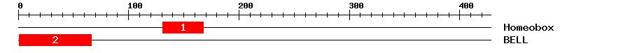 Signature Domain