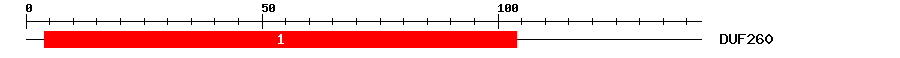 Signature Domain