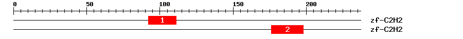Signature Domain