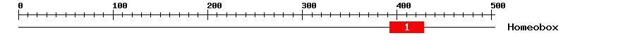 Signature Domain