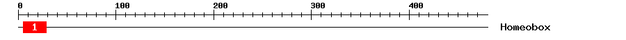 Signature Domain