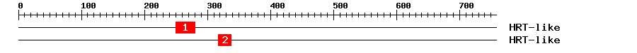 Signature Domain