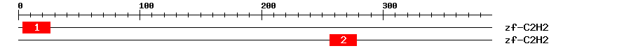Signature Domain