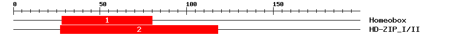 Signature Domain