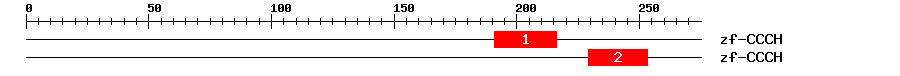 Signature Domain