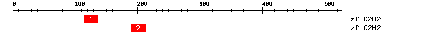 Signature Domain