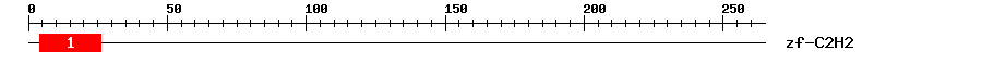 Signature Domain