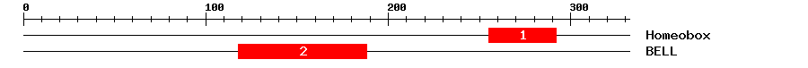 Signature Domain