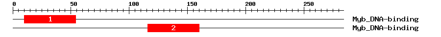 Signature Domain