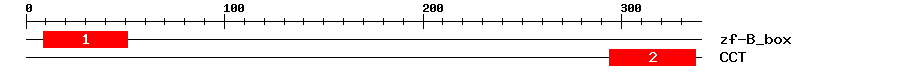 Signature Domain