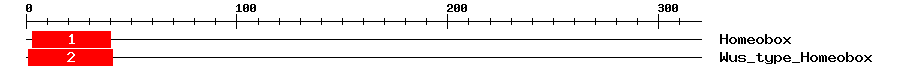 Signature Domain