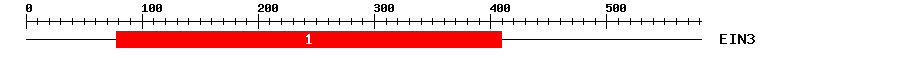 Signature Domain