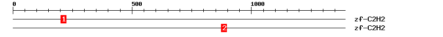 Signature Domain