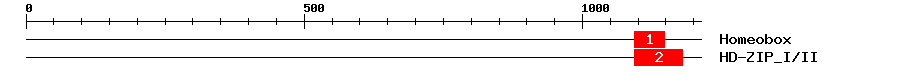 Signature Domain