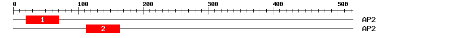 Signature Domain
