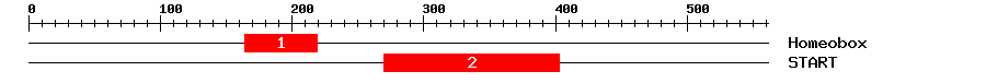 Signature Domain