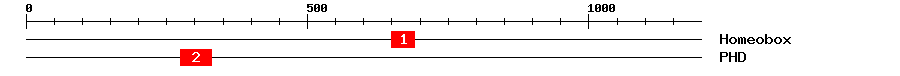 Signature Domain