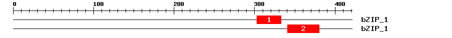 Signature Domain