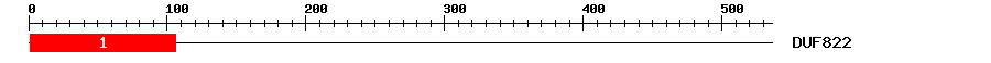 Signature Domain
