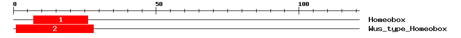 Signature Domain