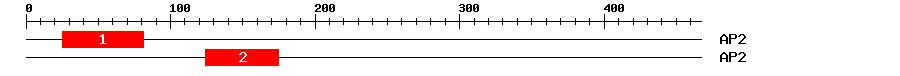 Signature Domain