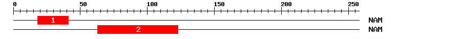 Signature Domain