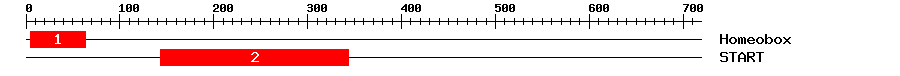 Signature Domain