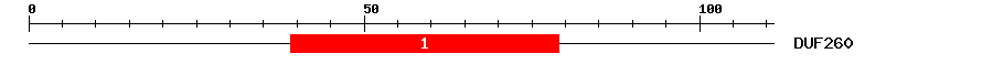 Signature Domain