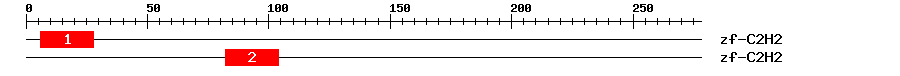 Signature Domain