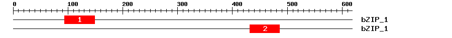 Signature Domain