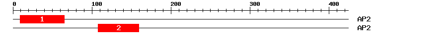 Signature Domain
