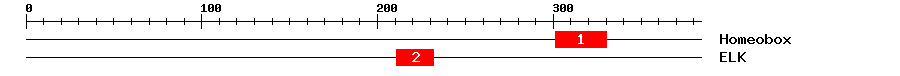 Signature Domain