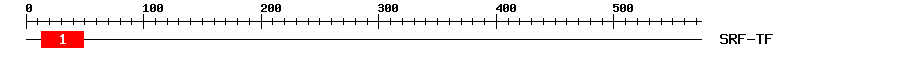 Signature Domain