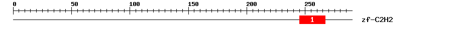 Signature Domain