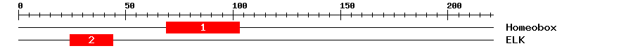 Signature Domain