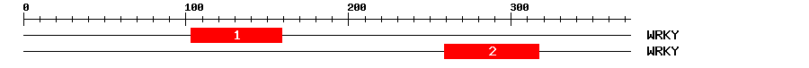 Signature Domain