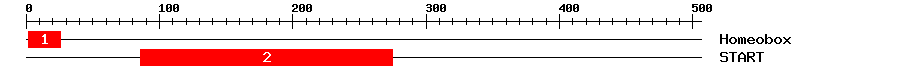 Signature Domain