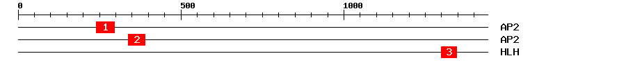 Signature Domain