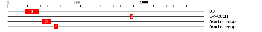 Signature Domain