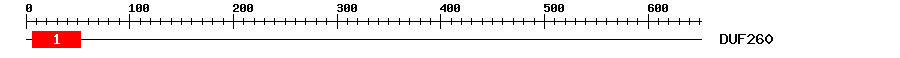 Signature Domain