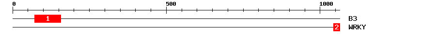 Signature Domain