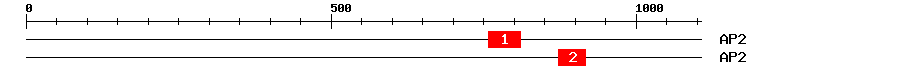 Signature Domain