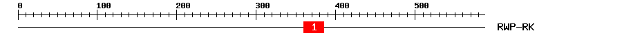 Signature Domain