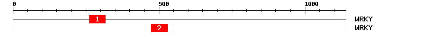 Signature Domain