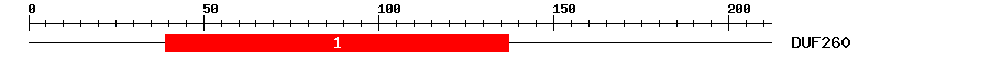 Signature Domain