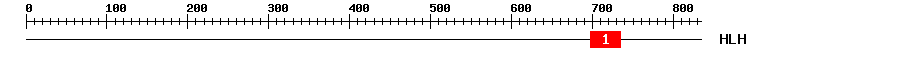 Signature Domain