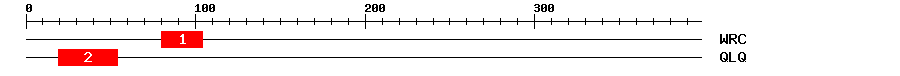 Signature Domain