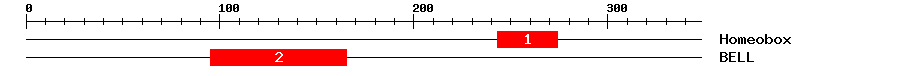 Signature Domain