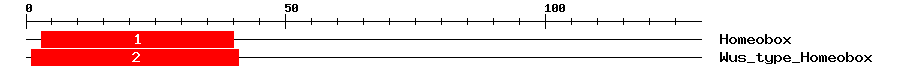 Signature Domain