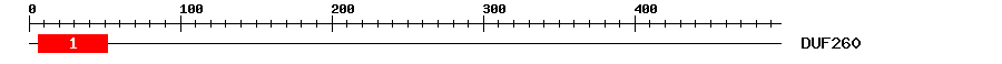 Signature Domain